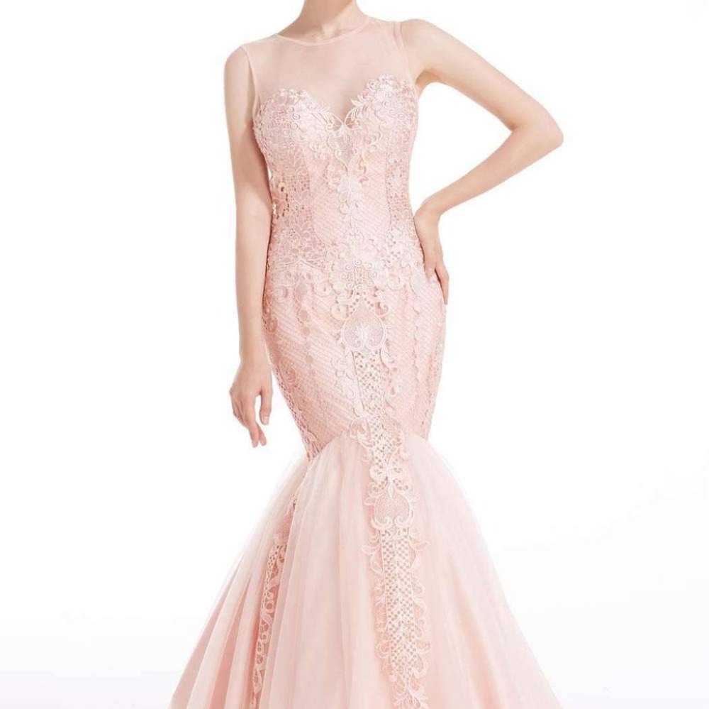 Embroidered Mermaid Dress